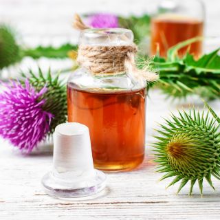 Extracto de raíz de bardana