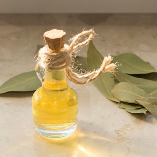 Extracto de hoja de laurel