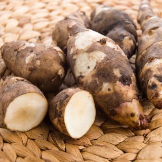 Extracto de tubérculo de alcachofa de Jerusalén