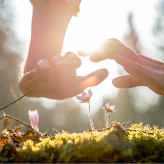 Protección Integral